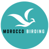 Morocco Birding